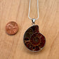 Ammonite Pendant