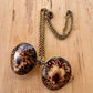 Shell Locket
