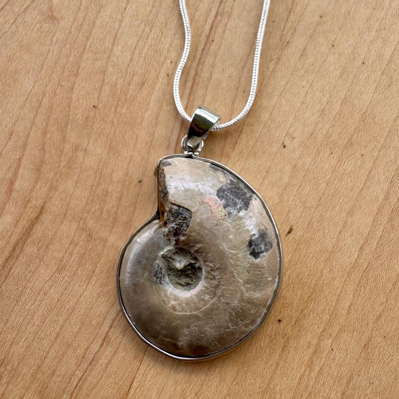 Ammonite Pendant