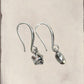 Star Earrings - Stainless