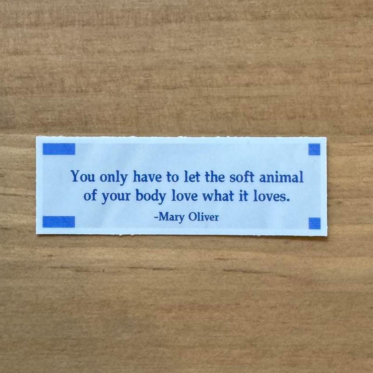 Soft Animal Of Your Body Sticker - Mary Oliver
