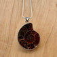 Ammonite Pendant