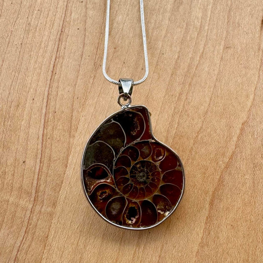 Ammonite Pendant