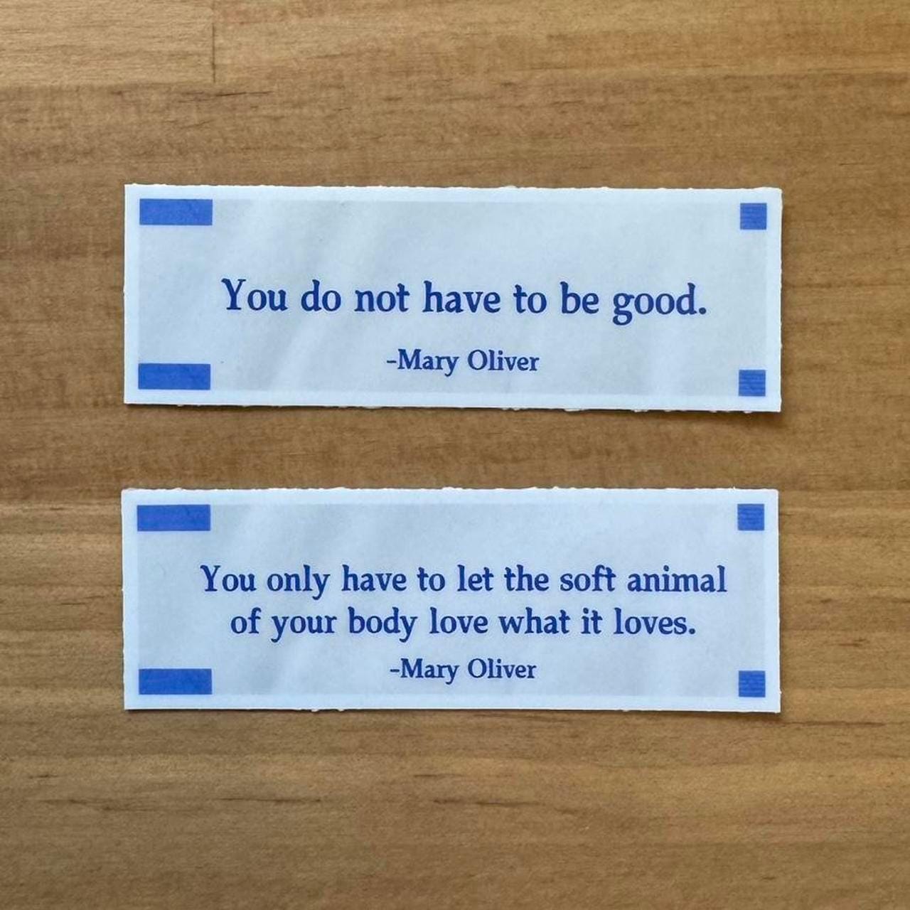 Wild Geese Sticker Set - Mary Oliver