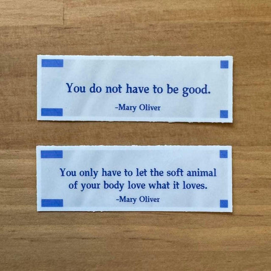 Wild Geese Sticker Set - Mary Oliver