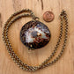 Shell Locket